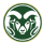 South Chaos logo